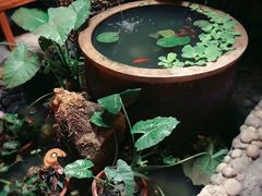 -三道苗苗鱼·美蛙黄辣丁(八里店)