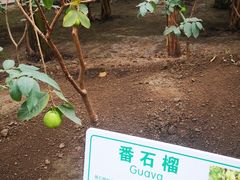 -长春农博园