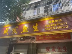 -成发鱼生