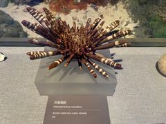 -中国（海南）南海博物馆