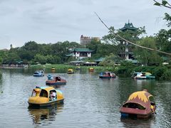 -桂湖森林公园