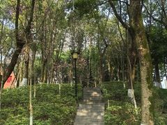 -重庆市江北嘴中央商务区中央公园