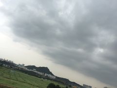 -光明小镇欢乐田园