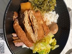 -MR鹅外
