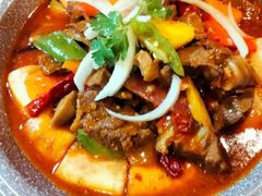 -巴依老爷新疆美食(望京小街店)