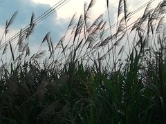 -小南山公园