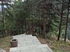 -沂蒙山旅游区云蒙景区(蒙山国家森林公园)