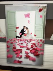 点击看大图 -韩国艺匠ARTIZ STUDIO(博览中心店)