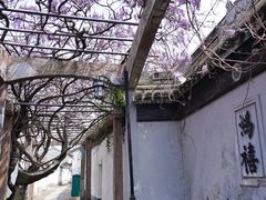 -东山风景区(洞庭东山)