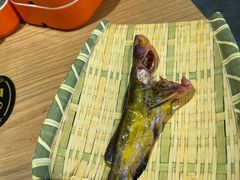 -铭记蛙小仙·活蛙畅享(CBD万达广场店)