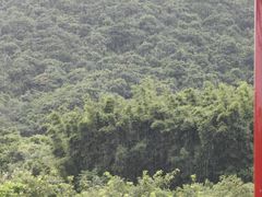 -东部华侨城