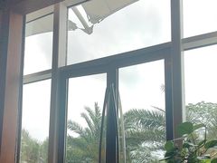 -彩丰楼中餐厅·早茶·点心·粤菜(海口华彩洲际酒店)