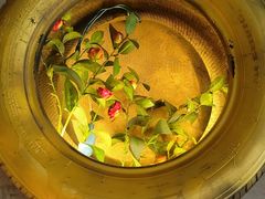 -米氏火鱼·泡椒鱼火锅(李子坝老店)