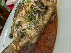 -良友·海鲜青岛菜(五四广场店)