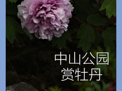 -中山公园