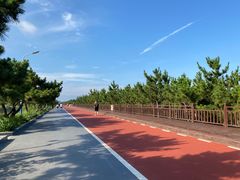 -日照海滨国家森林公园