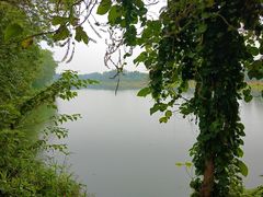 -中国天府农业博览园