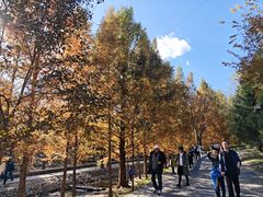 -白水寺森林公园