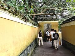 -普陀山慧济禅寺