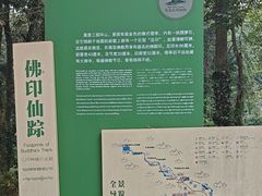 -莫里热带雨林景区
