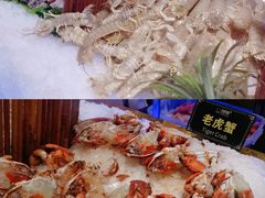 -九月海·海鲜自助(世纪东方店)