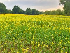 -长白岛森林公园