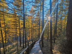 -苏木山森林公园