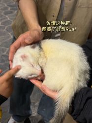 -Zoolung Zoolung动物主题公园(海信广场店)