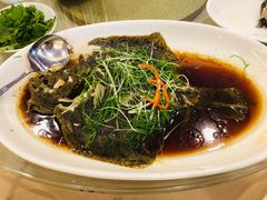 清蒸多宝鱼-金鮀岛潮州酒家