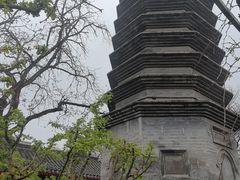 -正阳书局(西四南大街店)