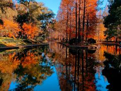 -上海共青森林公园