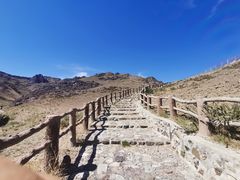 -新疆天山野生动物园