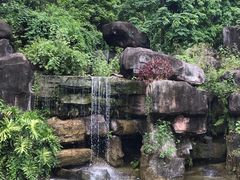 -广州神农草堂中医药博物馆