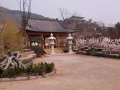 -白佛山景区