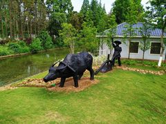 -上海长兴岛郊野公园