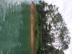 流溪河国家森林公园-广州市流溪河国家森林公园