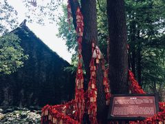 -乌镇西栅景区-月老庙
