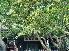 -惠山古镇·寄畅园