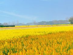 -中国天府农业博览园