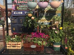 -东平国家森林公园