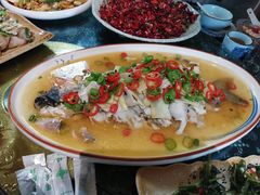 -青城甲(青城山店)