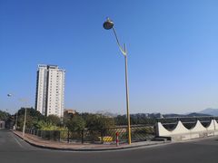 -风云岭森林公园
