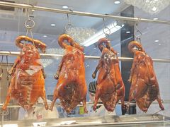 -农汤老店(顺联公园里店)