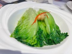 白灼生菜-广州酒家(越华店)