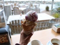 冰淇淋-Patagonia Chocolates(皇后镇店)