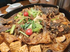 -老板恋上鱼(高新万达店)