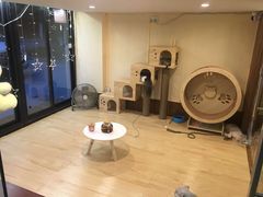 -李小姐の猫咖啡馆(五角场店)