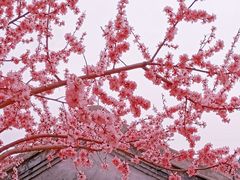 -三里河公园