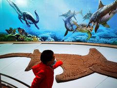 -自贡恐龙博物馆