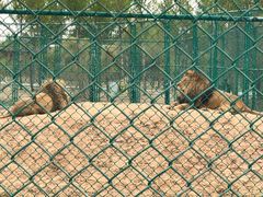 -鄂尔多斯野生动物园
